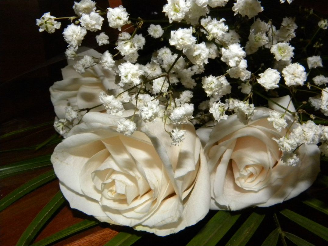 Алёна Провоторова | Москва