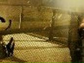 Саня Стельмащук | Ротмистровка