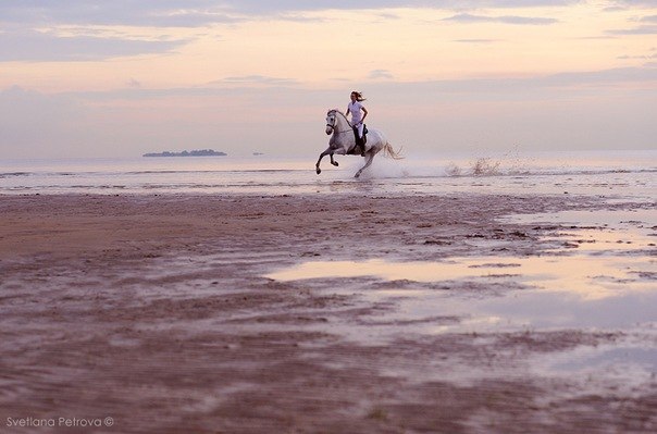 Марина Ильенко | 