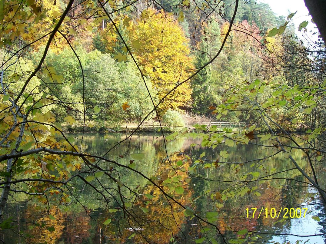 Елена Шерышева | Москва