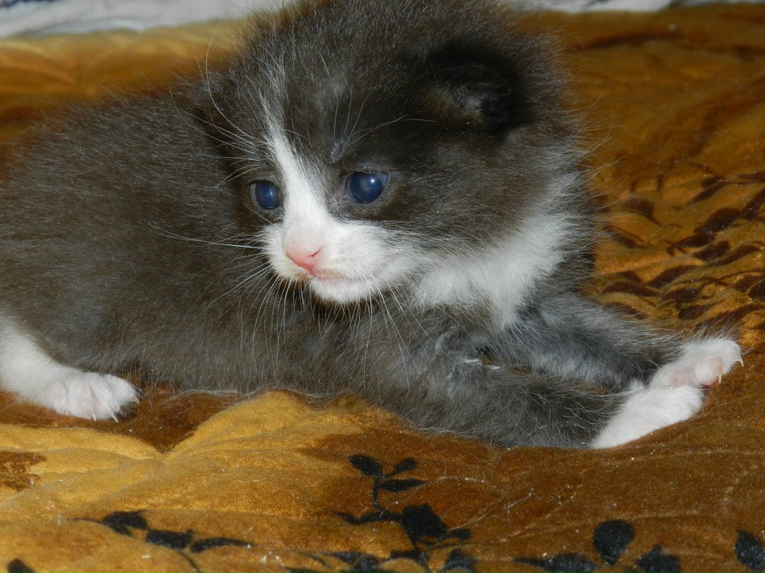 Марина Камбурова | Иркутск