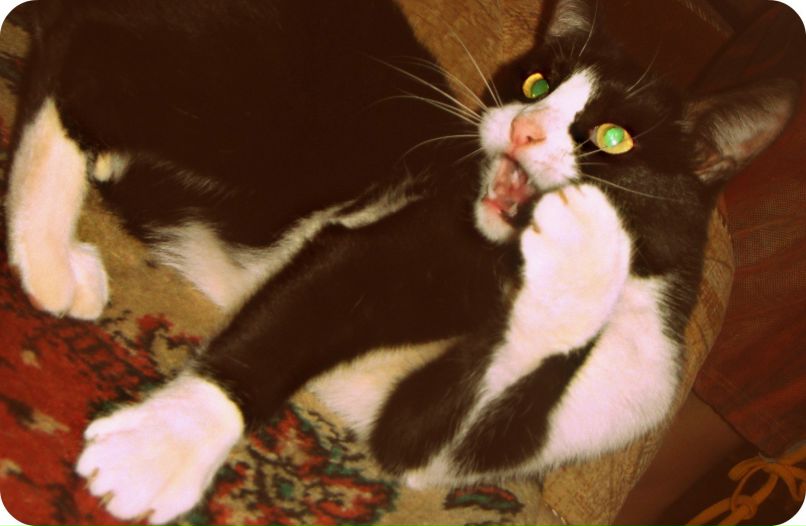 Виктория Жукова | Волжский