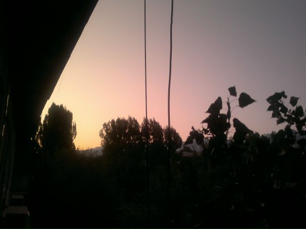 №153, Юлия Стрельчинина, Алматы №153, Юлия Стрельчинина, Алматы