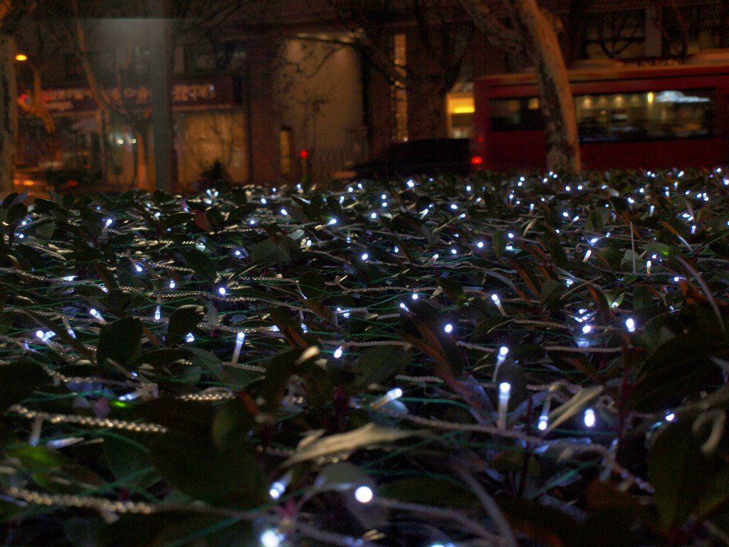 Владимир Лобода | Киев