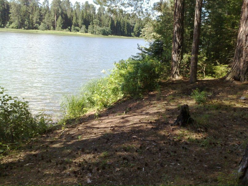 Игорь Мишланов | Очер