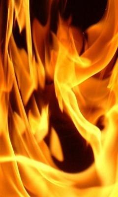 Анютка Ружина | Новомосковск