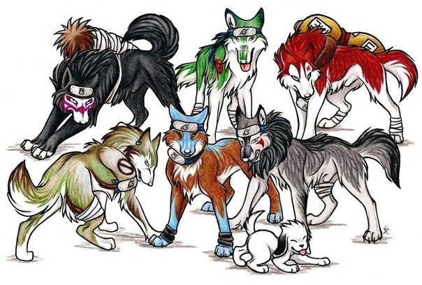 №37, Имран Омаров, 27 лет, Урай №37, Имран Омаров, 27 лет, Урай