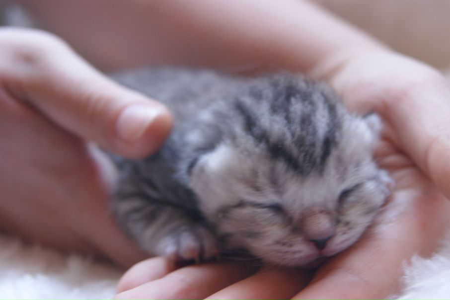 №4, Александра Ухова №4, Александра Ухова