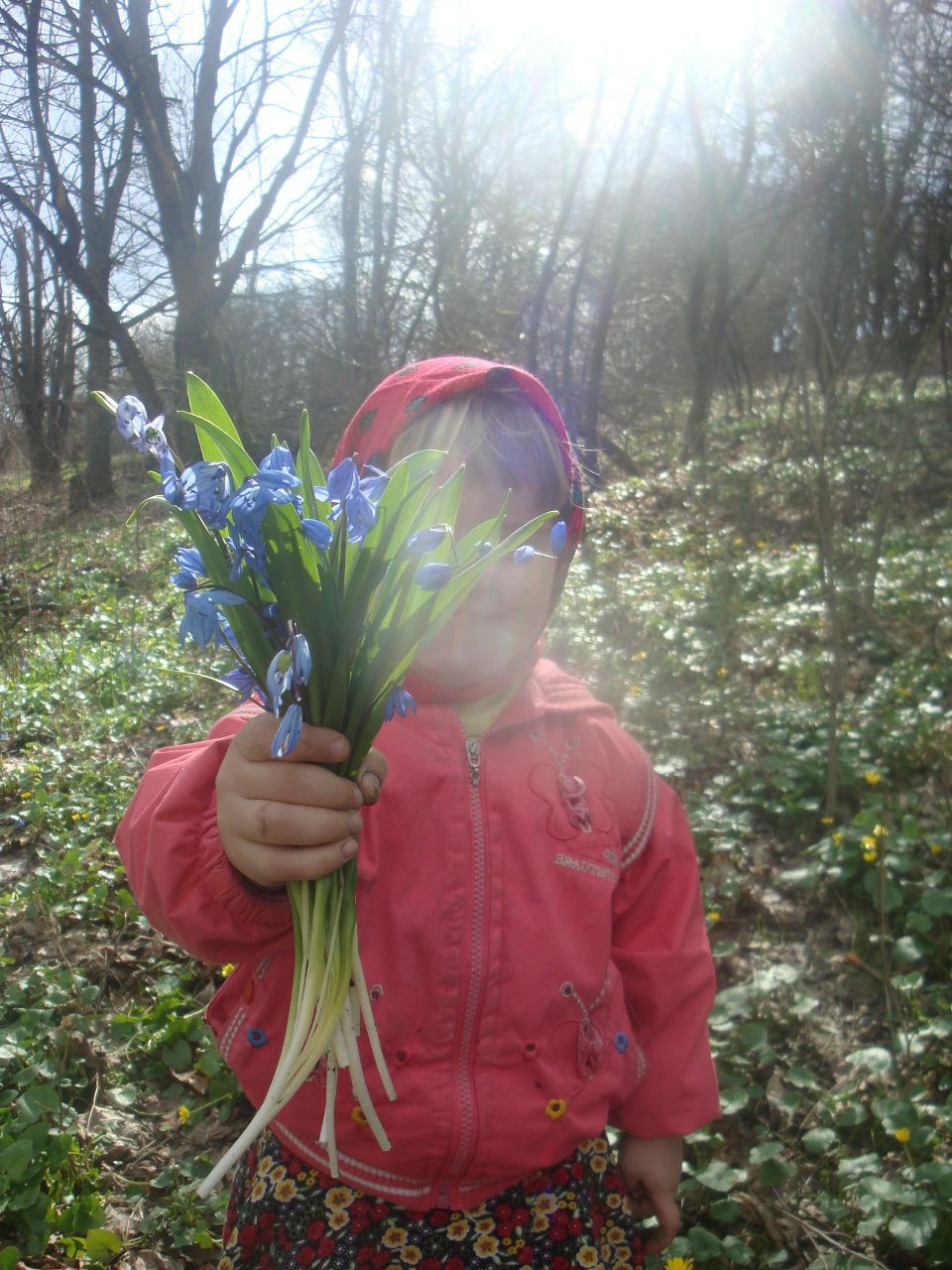 Мария Озивская | Миргород