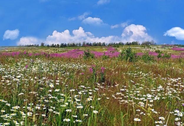 Александр Ганжа | Йошкар-Ола