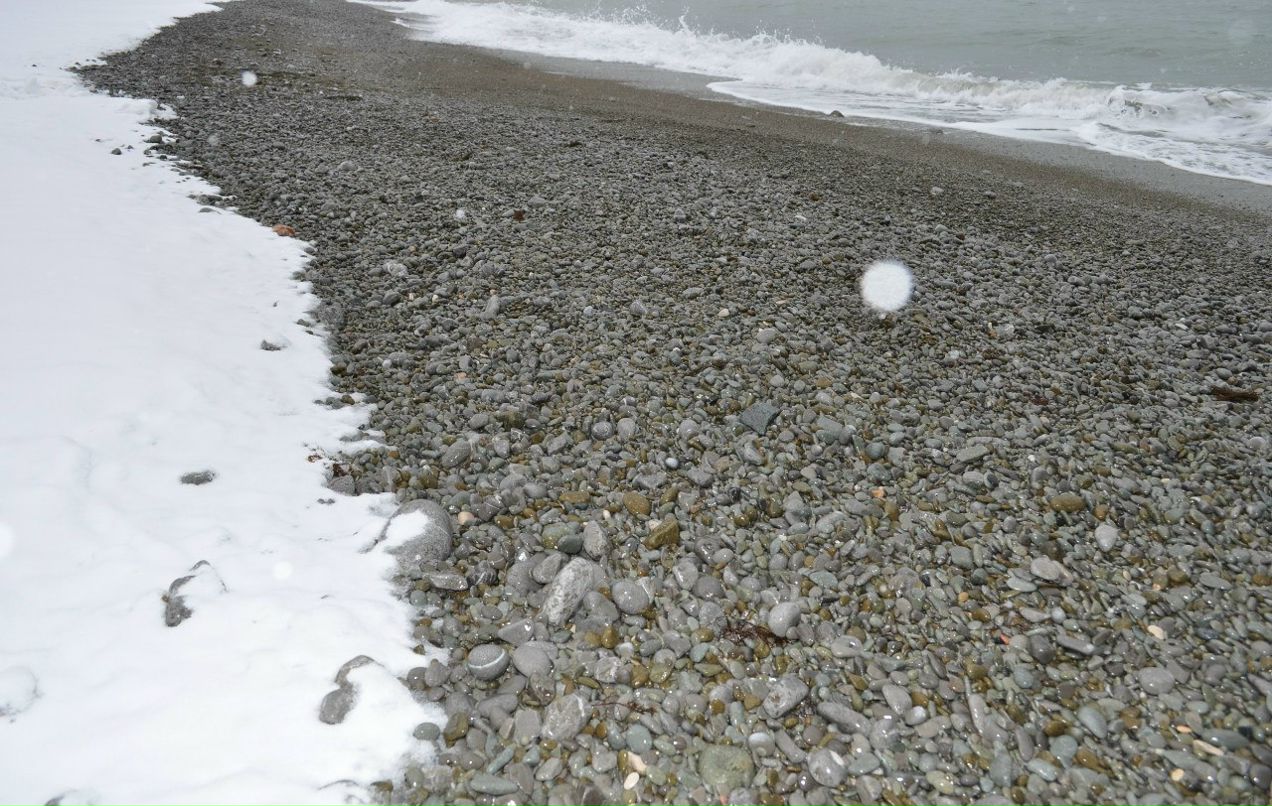 Дмитрий Дмитриев | Днепр (Днепропетровск)