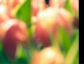 Елена Гиматова | Ульяновск