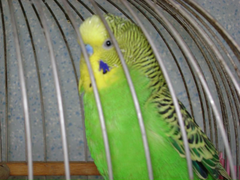 Марія Грицюк | Львов