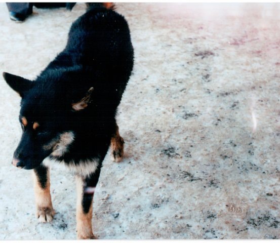 №65, Ксения Шеба, 33 года, Москва №65, Ксения Шеба, 33 года, Москва