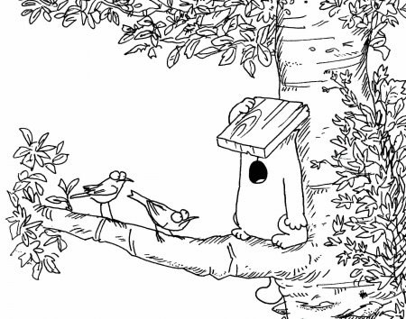 Костя Швецов | 