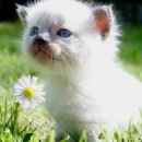 №25 Марина Родионова 23.03: профиль, фото, статус - ВКонтакте