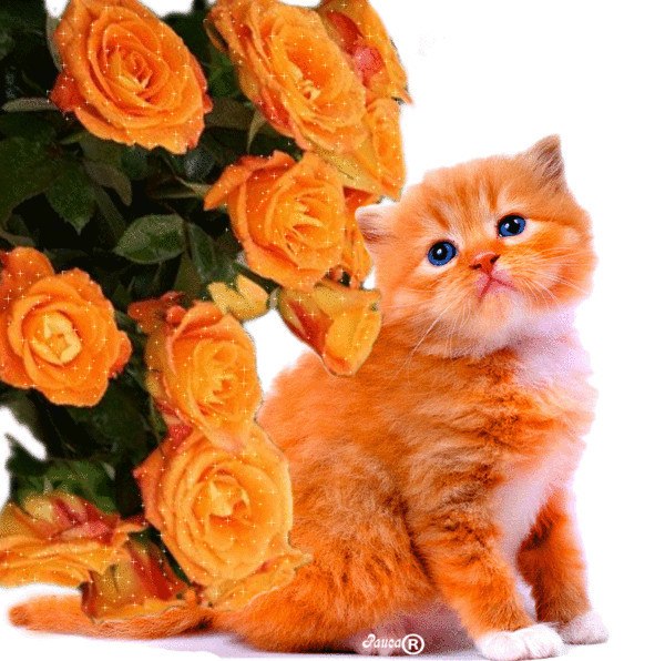 Надежда Пашкова Сергеевна | Чита