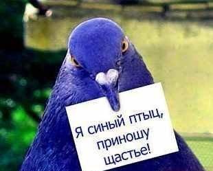 Кристина Ткаченко (Стасюк) | Краснодар