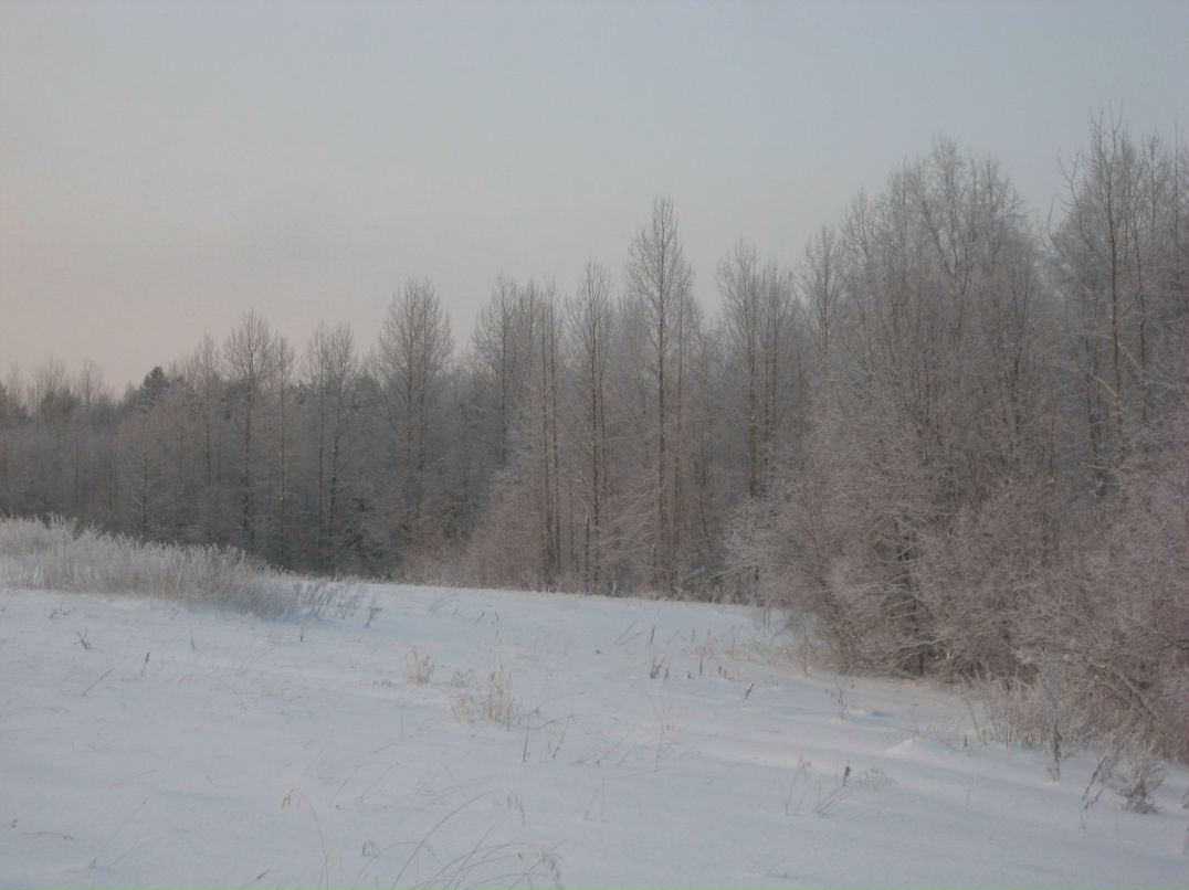 Людмила Попова | 