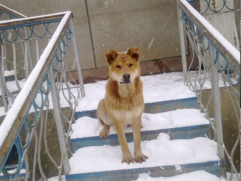 Руслан Свириденко | Ялта