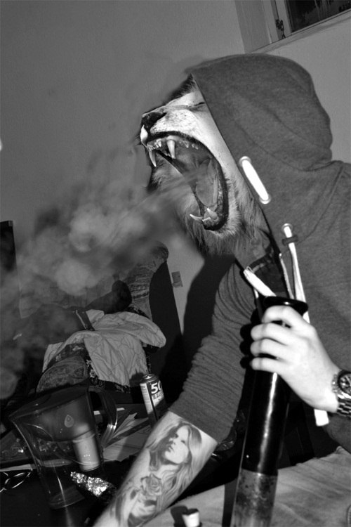 Александр Прежин ♔Foh♔ | Киев