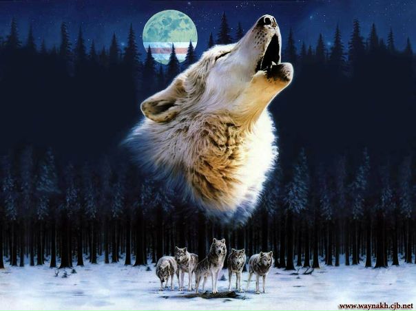 №19, Марічка Бігун №19, Марічка Бігун