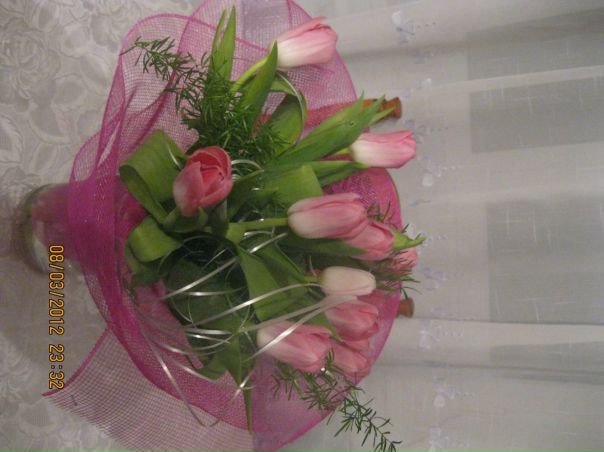 №53, Галина Шовак №53, Галина Шовак