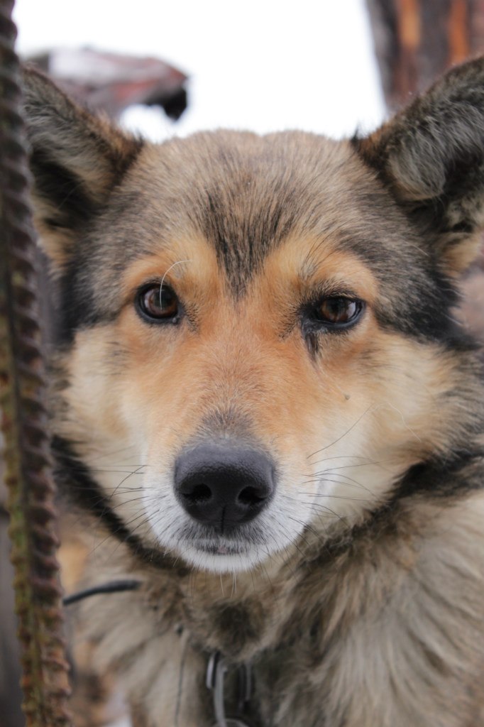 Иван Мартыненко | Минск