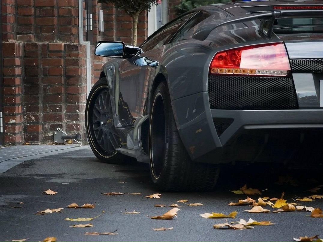 Александр Антоненко | Беляевка