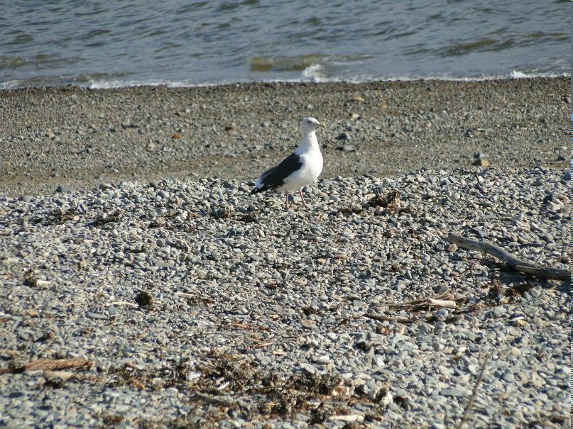 Тарас Палиенко | Тюмень