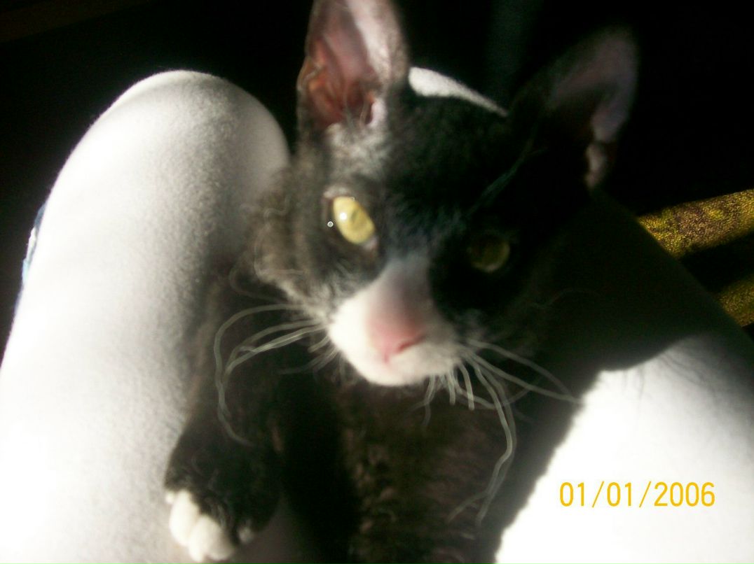 Александра Крепкая ˜”*°• ⎛★ ⎝⏜⏝ ⏜⎠★⎞ .•°*”˜ | Киев