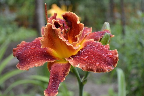 Фарида Шарапова | Казань