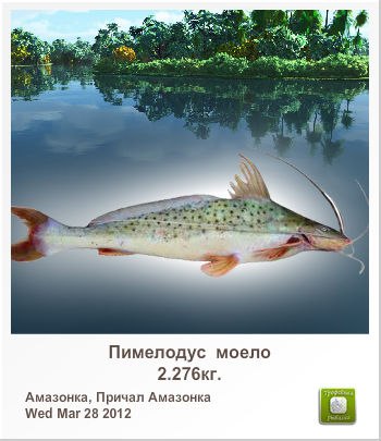 Александр Махницкий | Петрозаводск