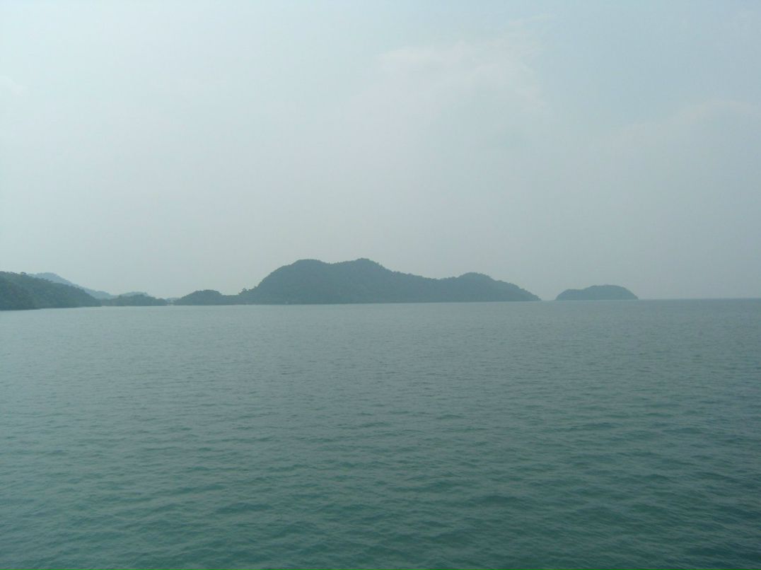 Олеся Анисимова | Санкт-Петербург