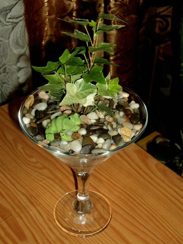 Таня Ільяшенко | Днепр (Днепропетровск)