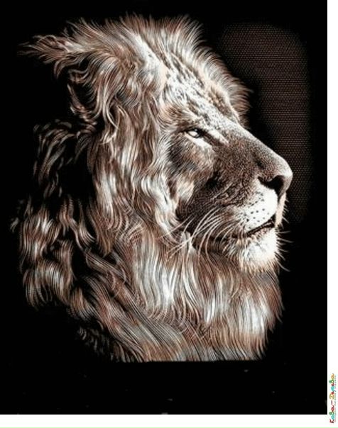 №16, Артур Алексеенко, 37 лет, Кривой Рог №16, Артур Алексеенко, 37 лет, Кривой Рог