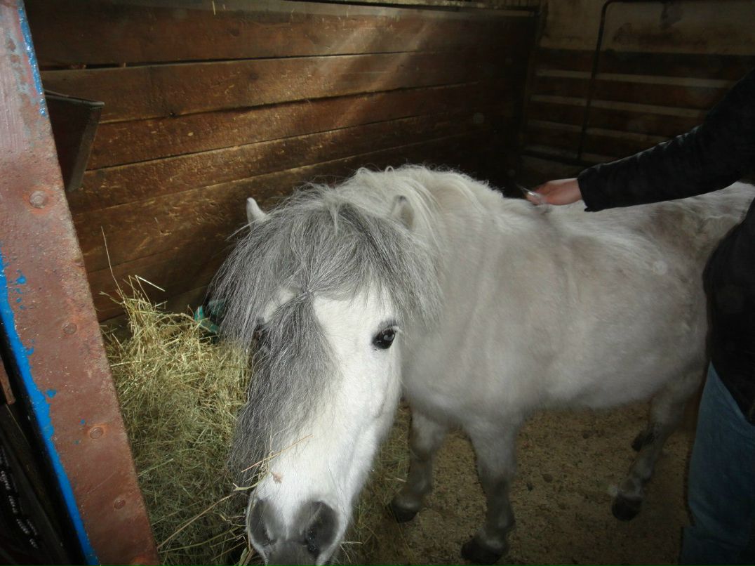 Сашка Видимка | Казань