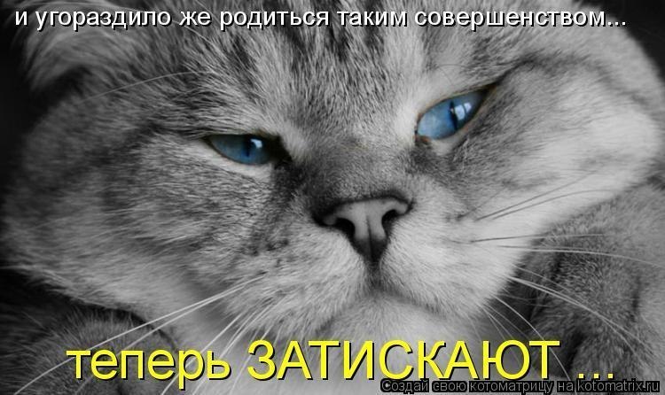 Александр Формузал | Одесса