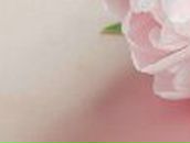 Илона Загорулько | Кривой Рог