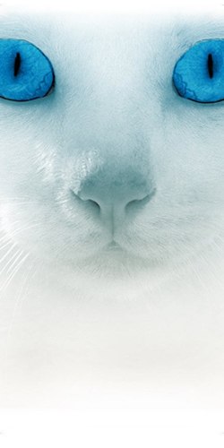 Мария Евтеева | Кемерово