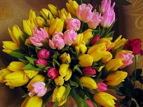 Марина Синица | Токмак