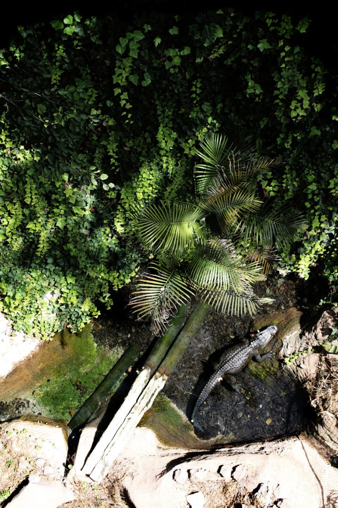 Серёжа Бойко | Москва