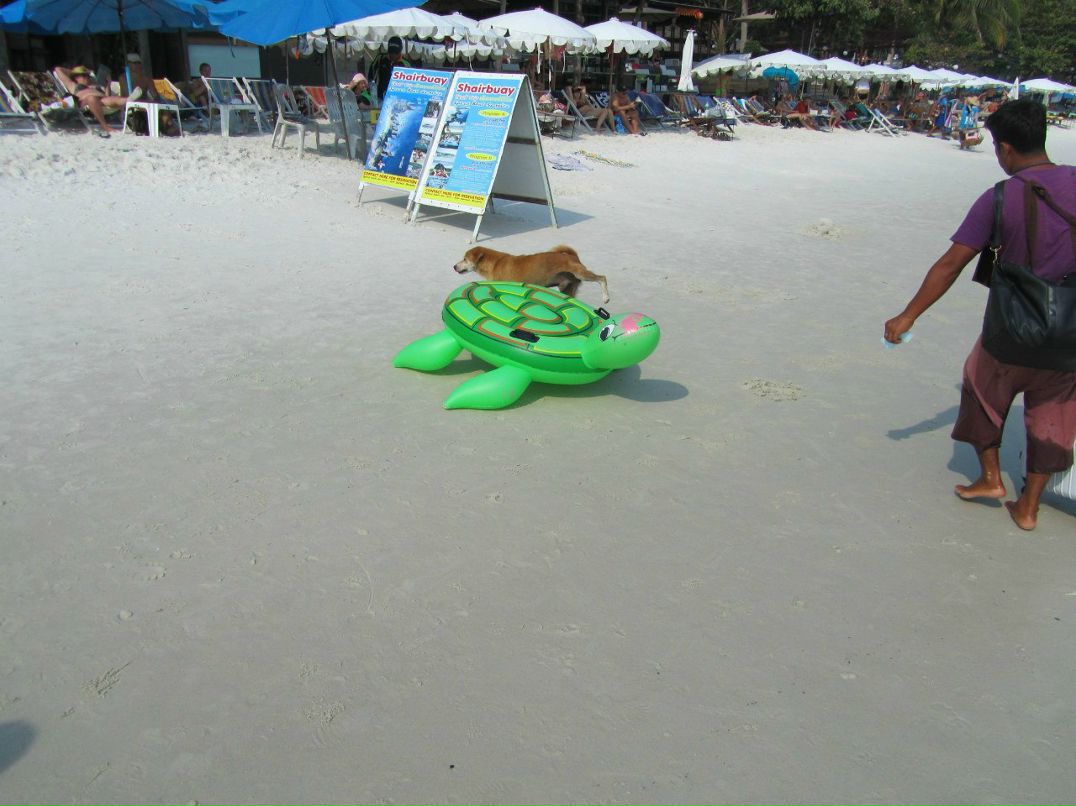 Георгий Гогуа | Москва