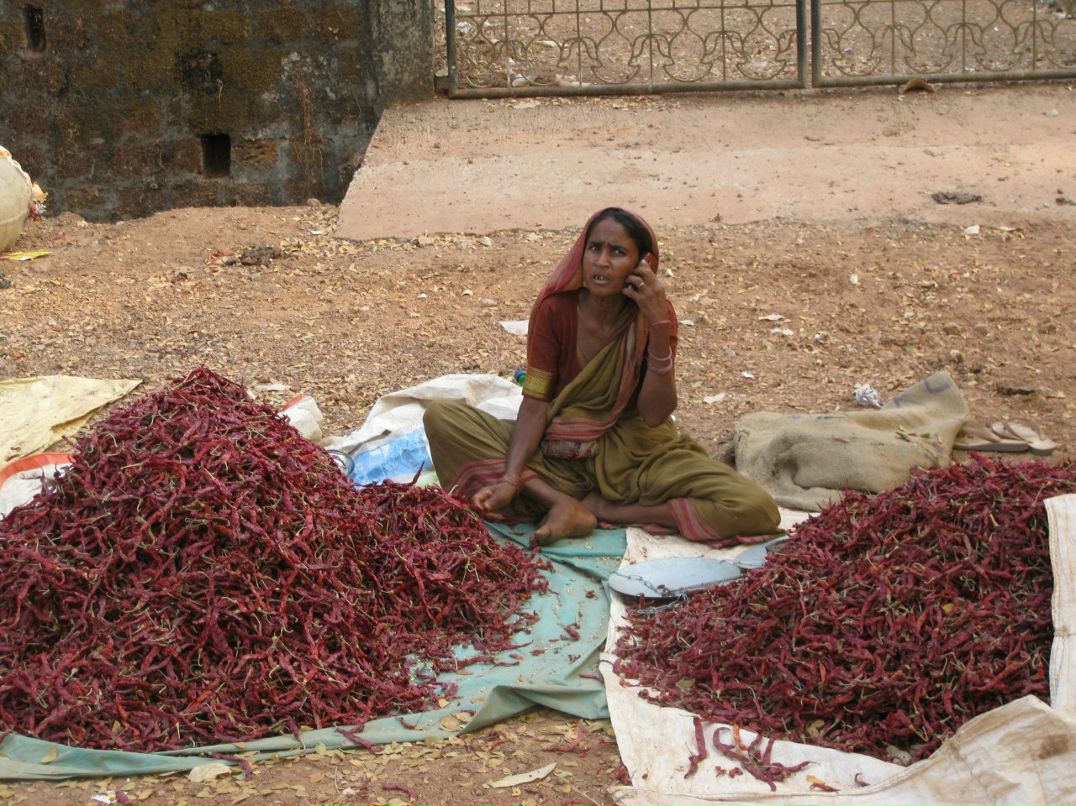 Мирослава Мамина | Львов