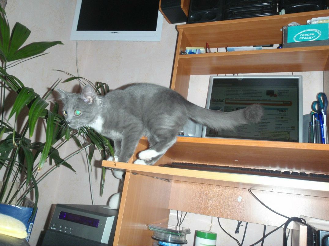 Андрей Полднев =][Rimlyanin][= | Санкт-Петербург