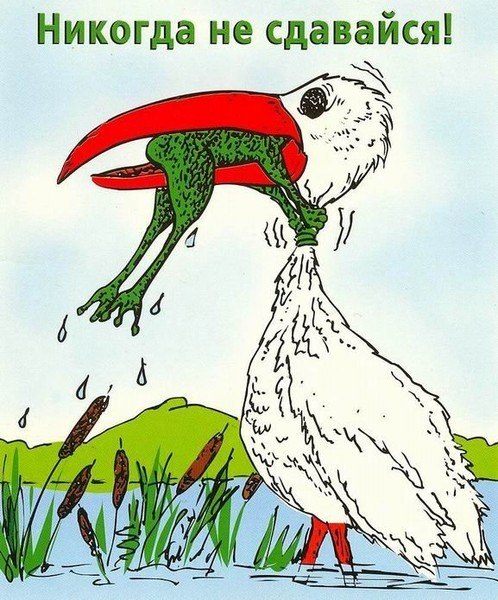 Елизавета Видрашко | Кишинев