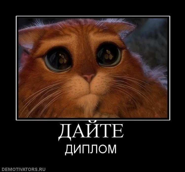 Vladimir Lievin | Одесса