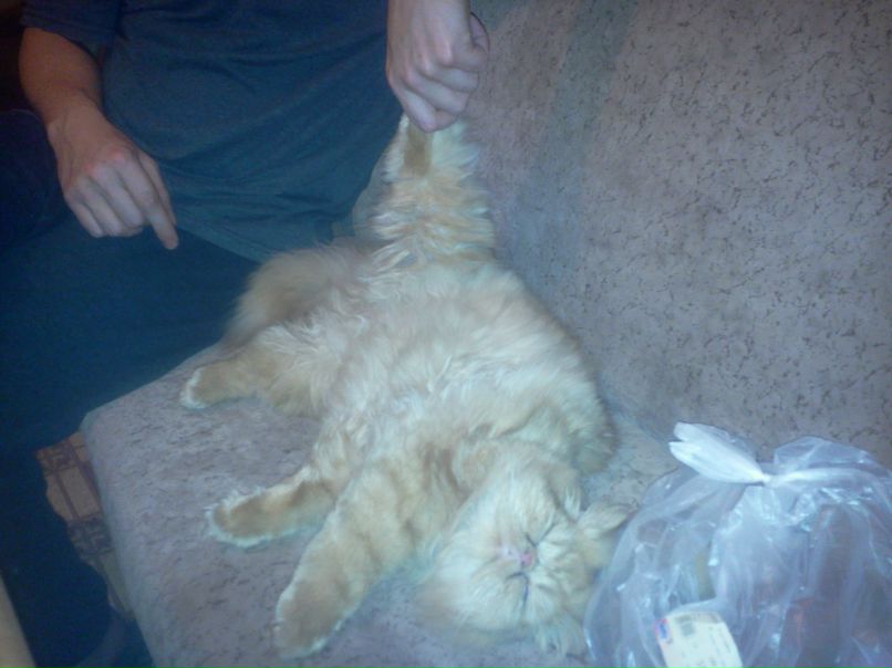 Дмитрий Одесский | Одесса