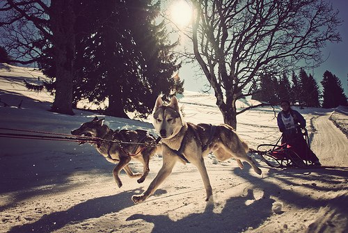 Ильнур Валиев | Санкт-Петербург