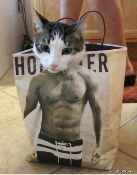 №102, Павел Игнатьев, Воскресенск №102, Павел Игнатьев, Воскресенск